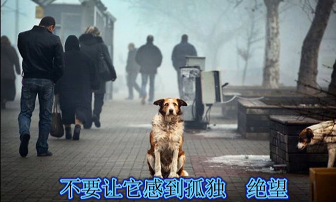 常熟常熟爱影圈微博微信转发案例